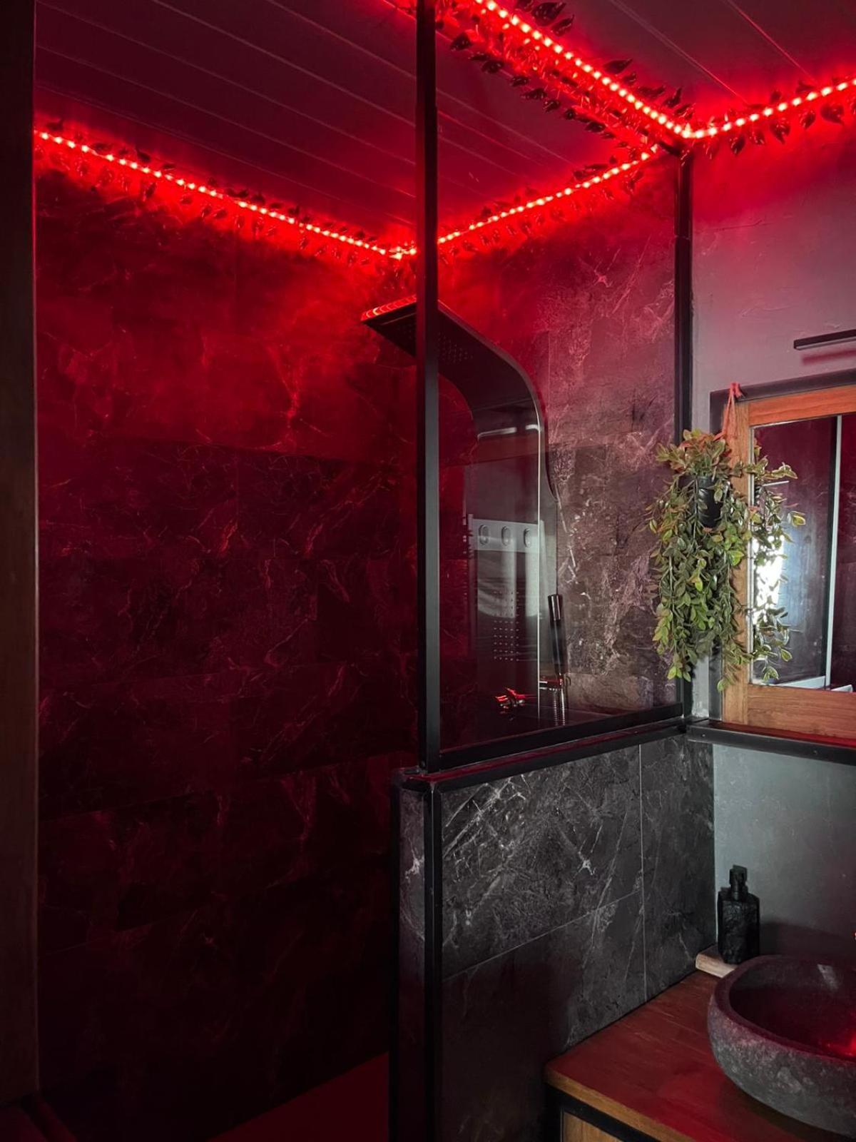 Oasis Tropical & Sauna 圣伊莱尔·德列 外观 照片